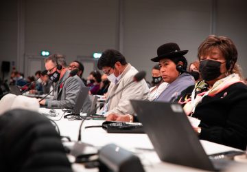 51667174038_d43f41873a_o