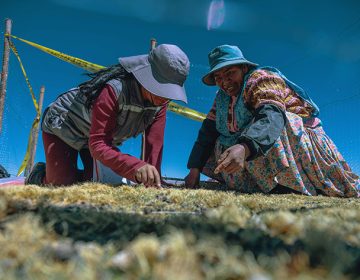 Inpección de obras y monitoreo67