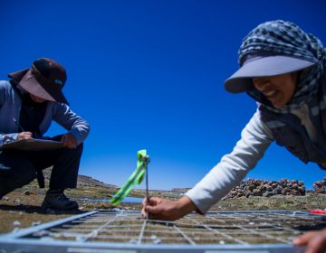 Inpección de obras y monitoreo9