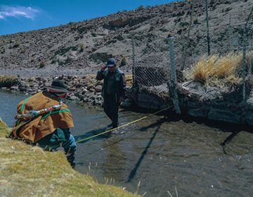 Organismo de Gestión de Cuencas17